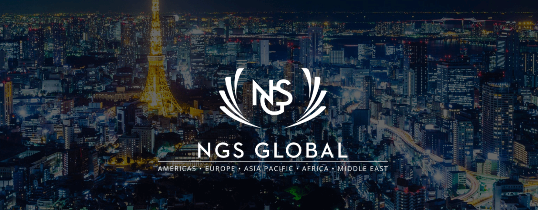 NGS Global India logo