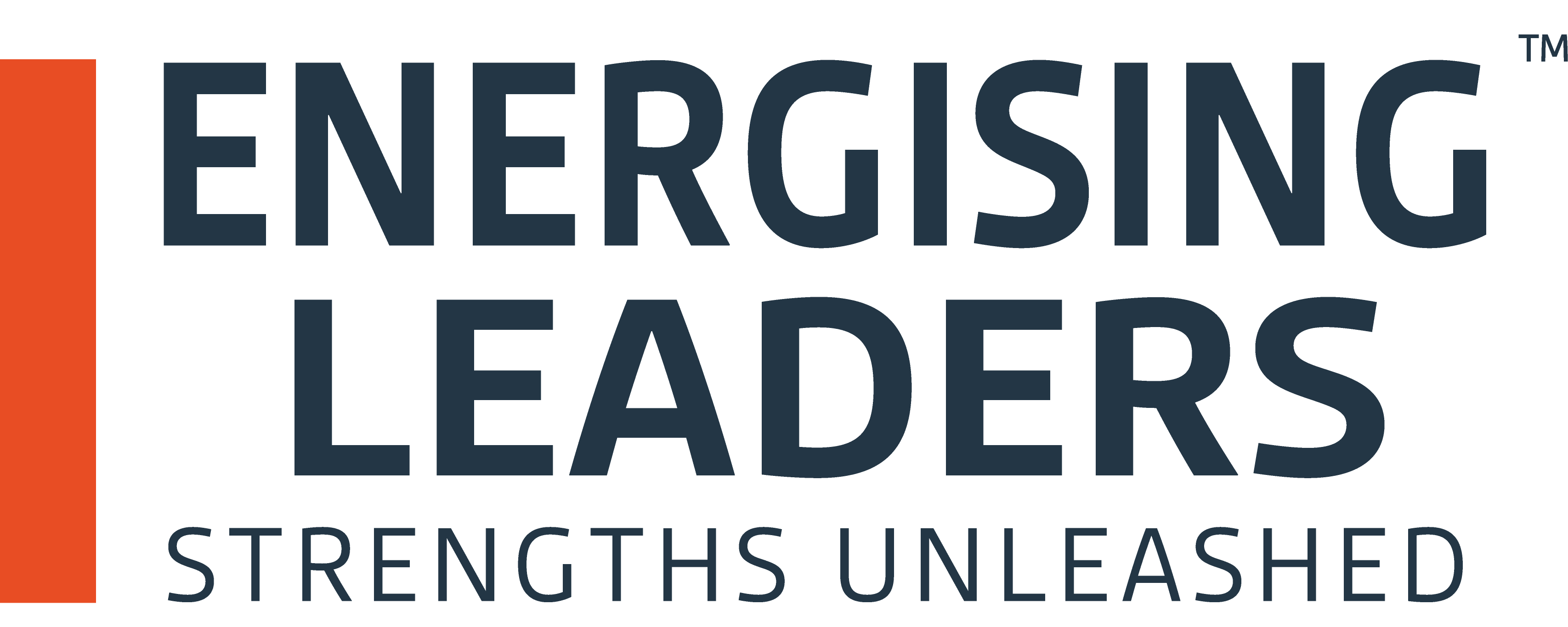Strengths Unleashed logo