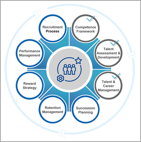 Talent management areas: recruitment process, competence framework, talent assessment and development, talent and career management, succession planning, retention management, reward strategy and performance management