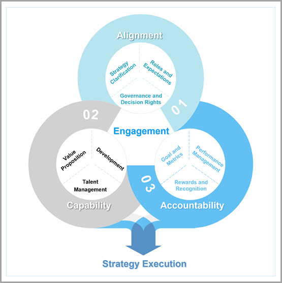 Strategy execution through alignment, engagement and accountability, supported by capability