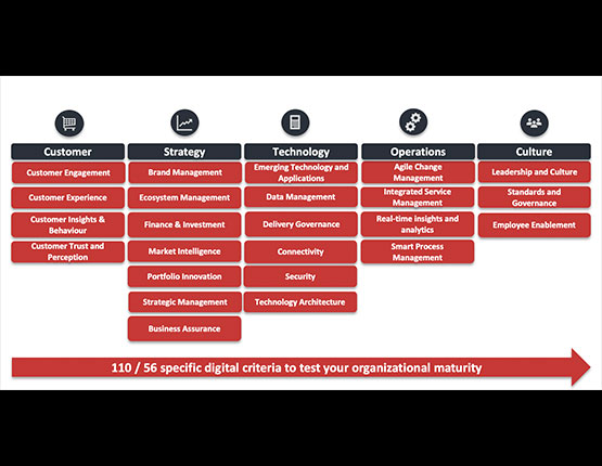 Digital maturity criteria across customer, strategy, technology, operations and culture: 110 specific criteria to test your organisational maturity