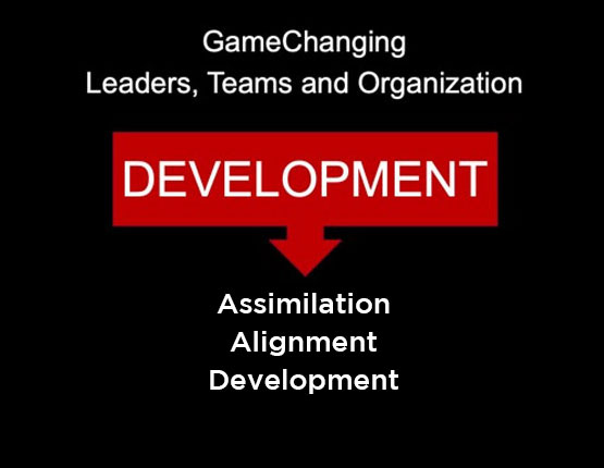 GameChanging leaders, teams and organization development: assimilation, alignment and development