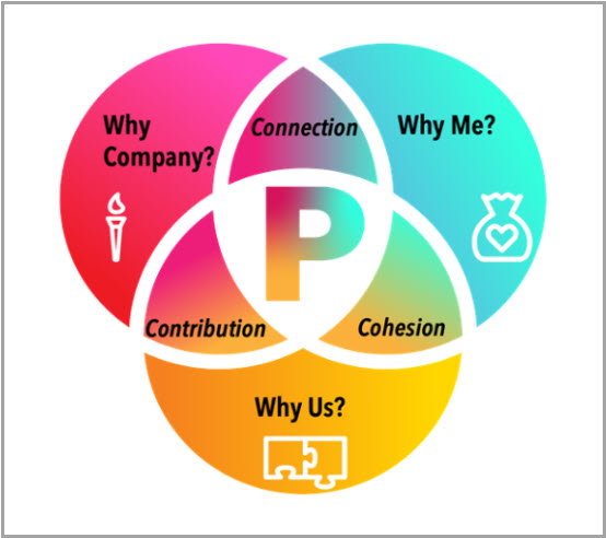 Why company, why me and why us, overlapping in connection, contribution and cohesion
