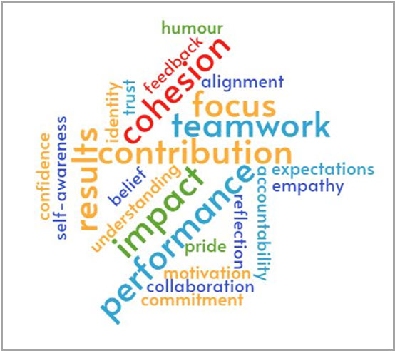 Word cloud of team qualities, led by contribution, teamwork, cohesion, impact and performance