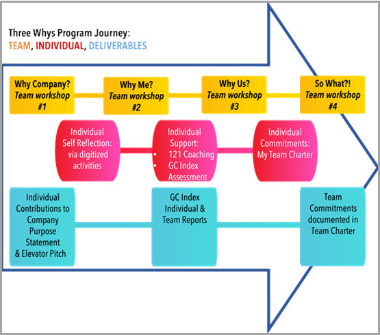 Three Whys programme journey: four team workshops (why company, why me, why us and so what), with individual reflection, coaching and GC Index reports along the way