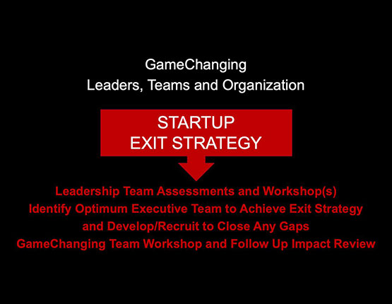 GameChanging leaders, teams and organization for startup exit strategy: leadership team assessments and workshops, identify the optimum executive team to achieve the exit, develop or recruit to close gaps, and run a team workshop with a follow-up impact review
