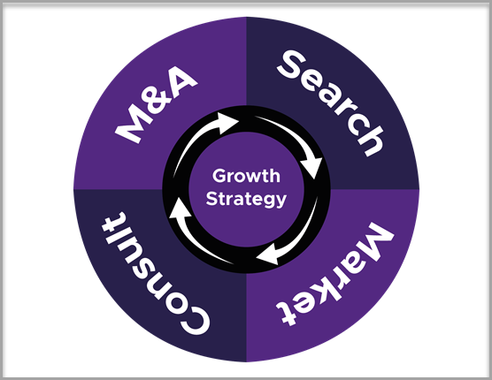 Growth strategy through M&A, search, market and consult