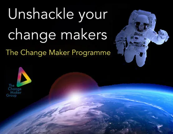 Unshackle your change makers: The Change Maker Programme