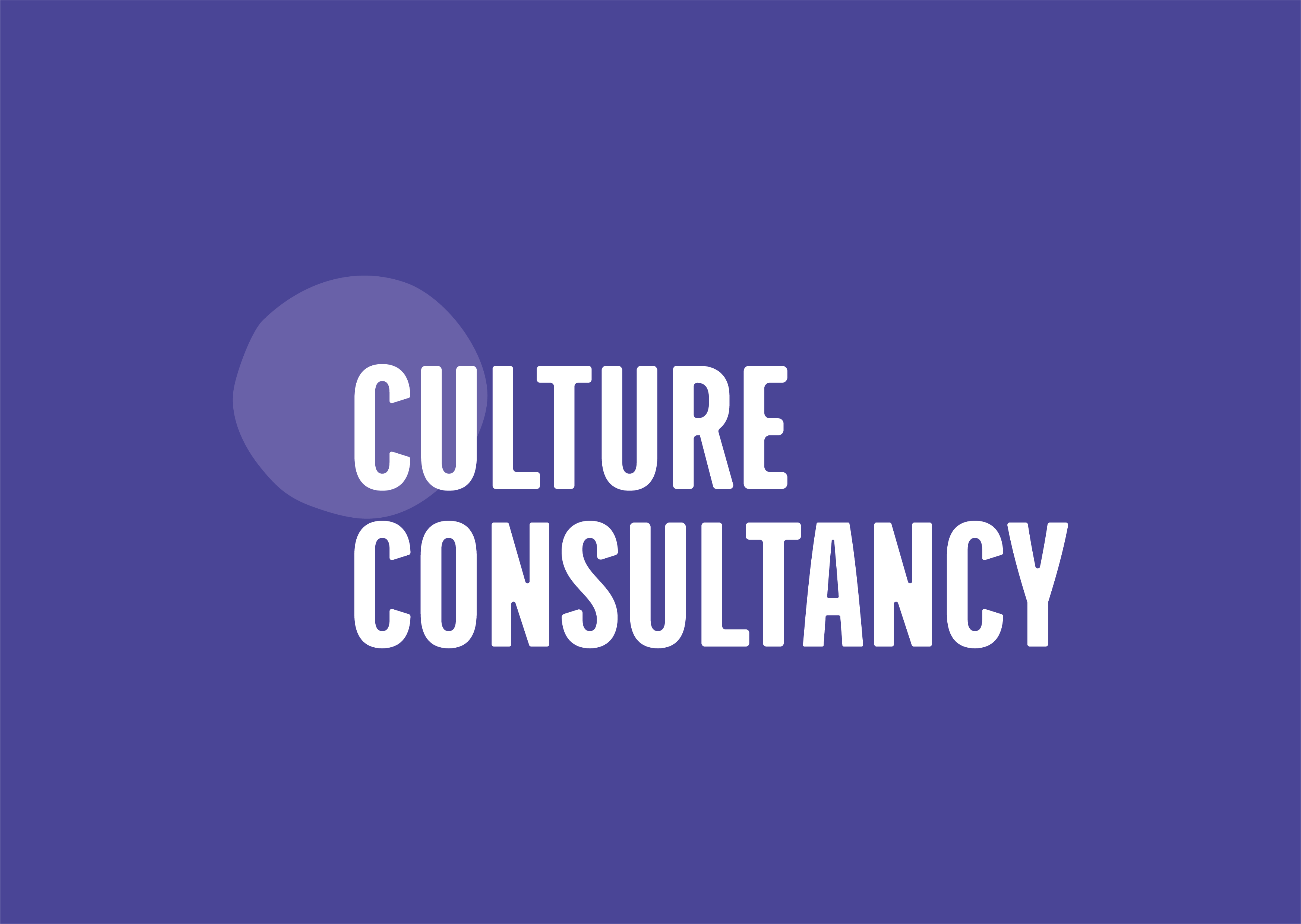 Culture Consultancy