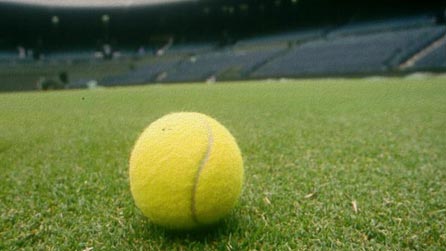 Tennis Ball Image