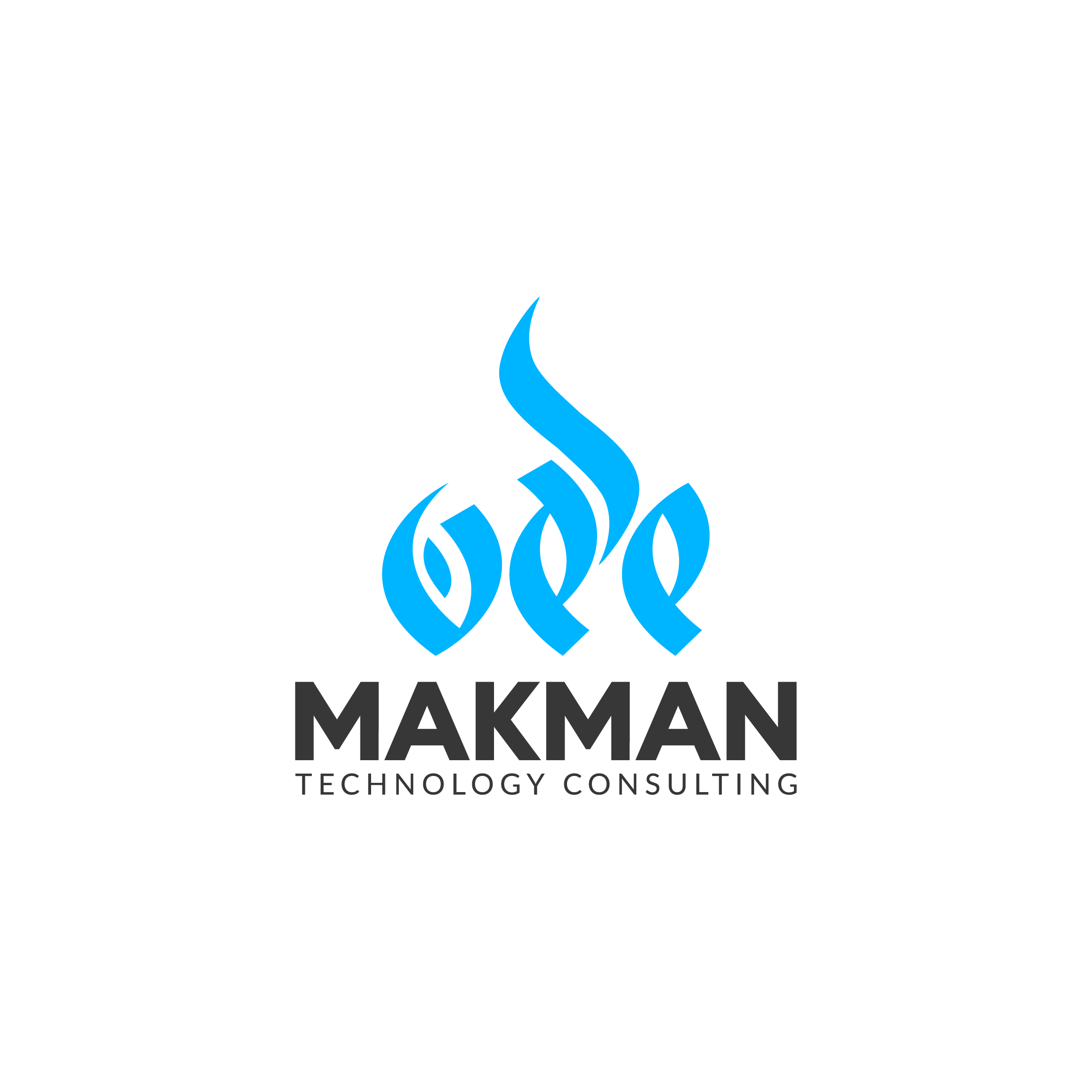 Makman Technology Consulting