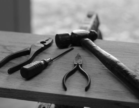 hunter-haley-s8OO2-t-HmQ-unsplash hunter-haley-s8OO2-t-HmQ-unsplash