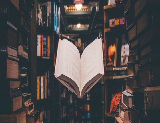 jaredd-craig-HH4WBGNyltc-unsplash jaredd-craig-HH4WBGNyltc-unsplash