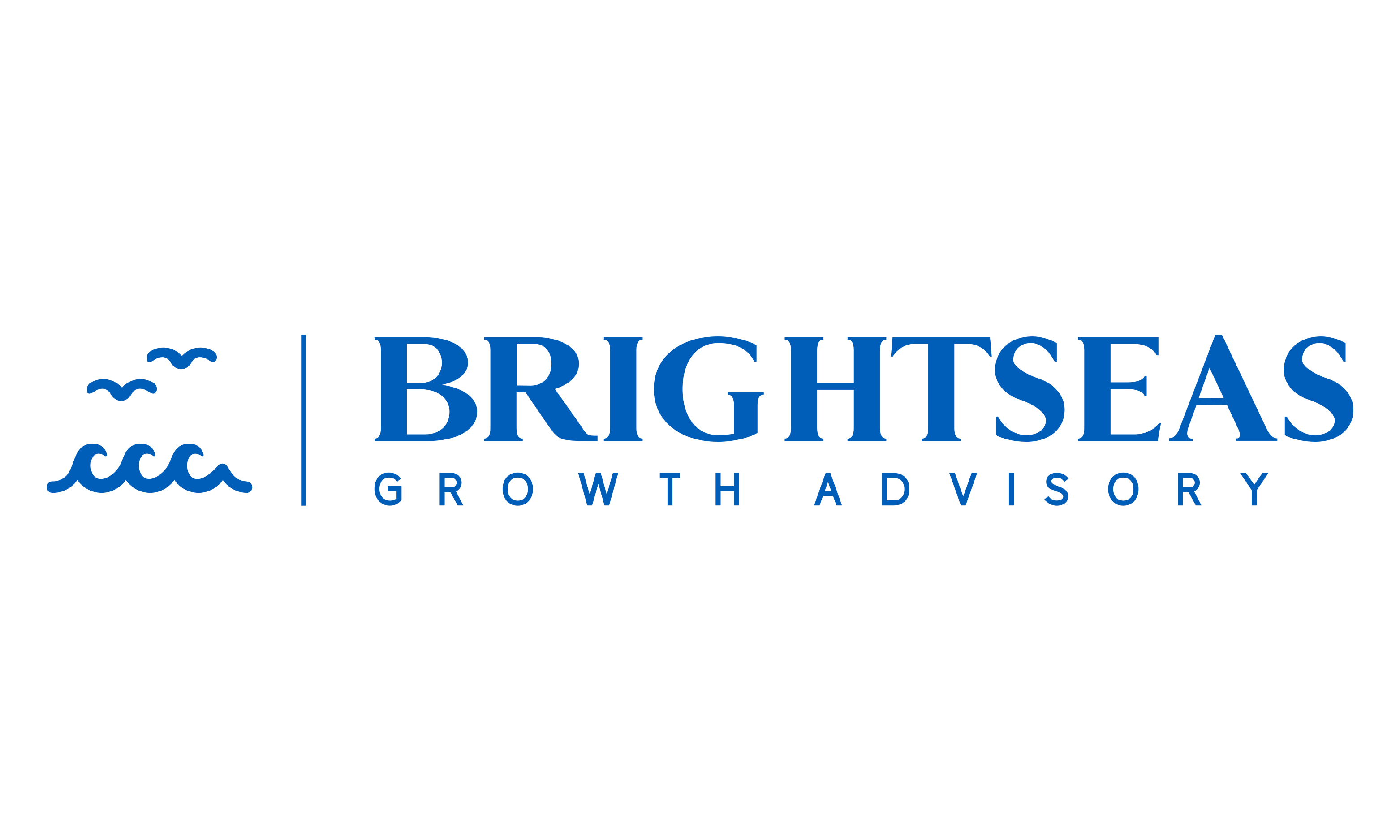 Brightseas Growth Advisory